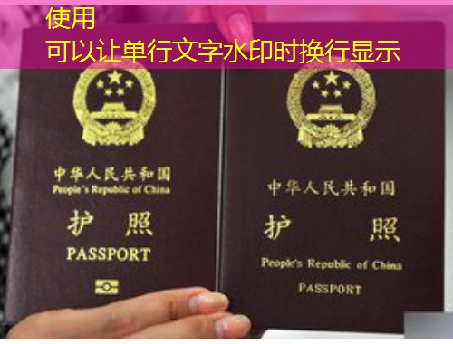 双鸭山移民中介网：在煤城找到通往世界的“隐形跳板”